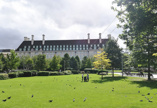 Untitled design (25)