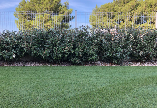 Untitled design (35)