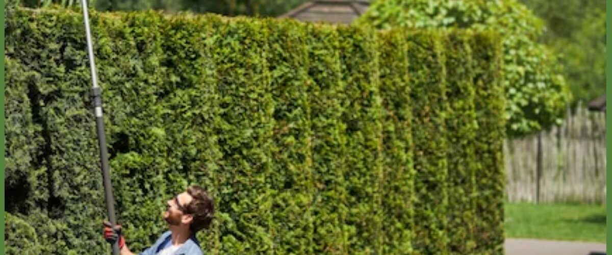 artificial-hedge-wall-installation