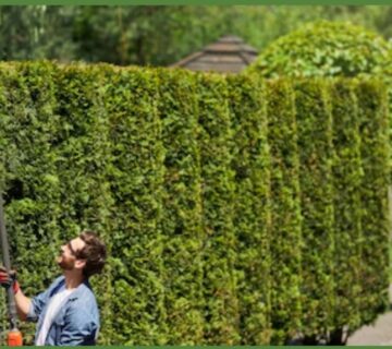 artificial-hedge-wall-installation