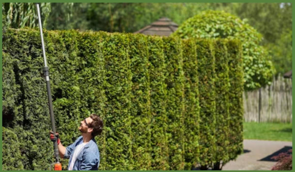 artificial-hedge-wall-installation
