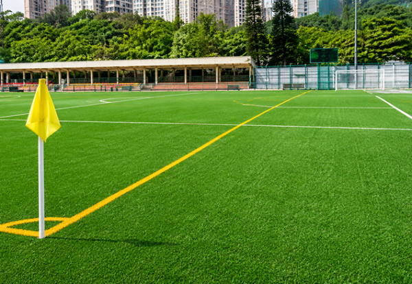 AVG FIH Hockey Artificial Turf 1