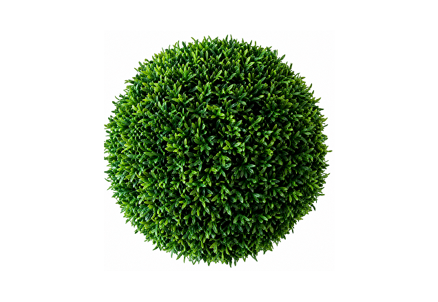 Topiary Grass Sphere Boxwood Dense Ball